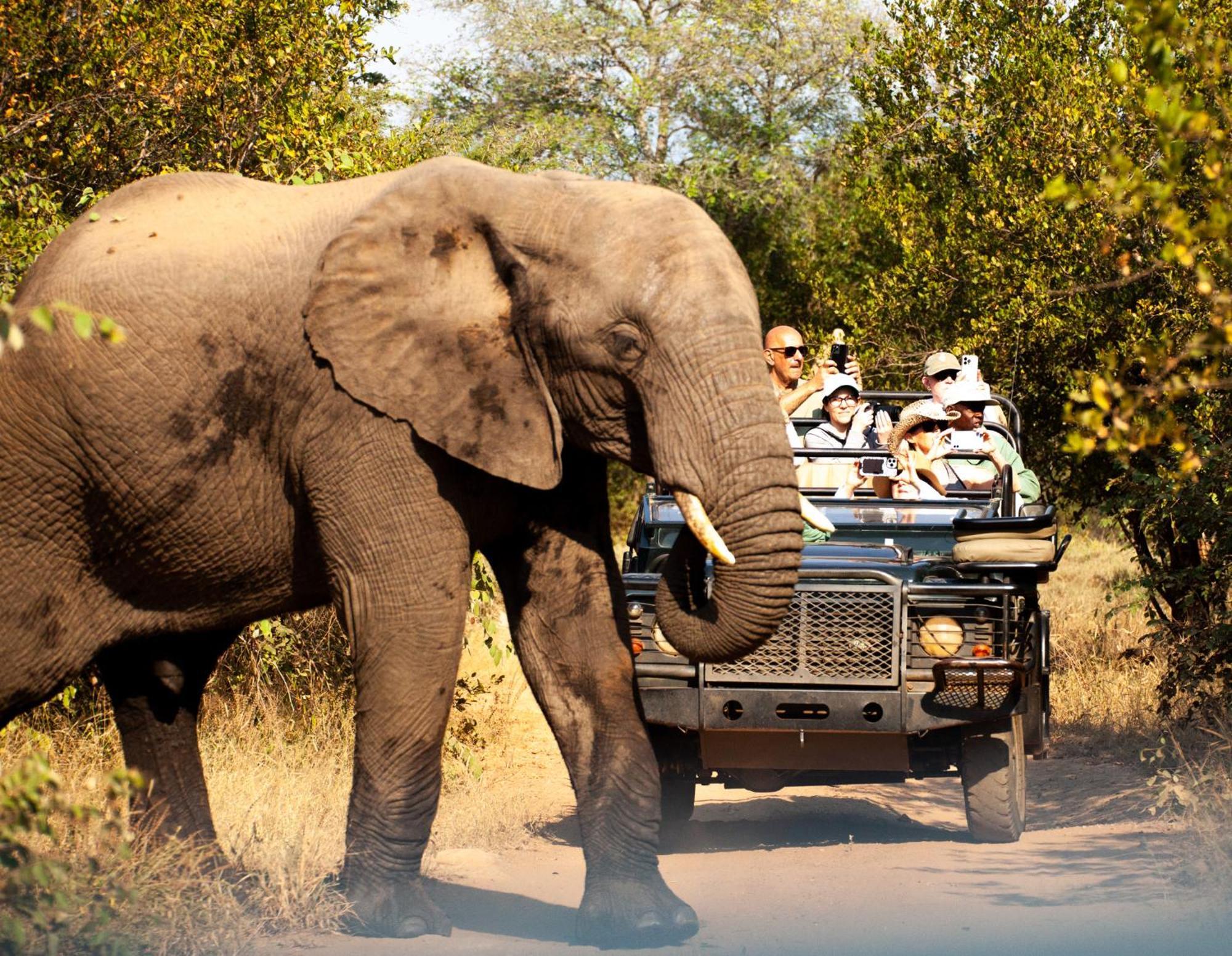 Karongwe River Lodge Karongwe Game Reserve Esterno foto