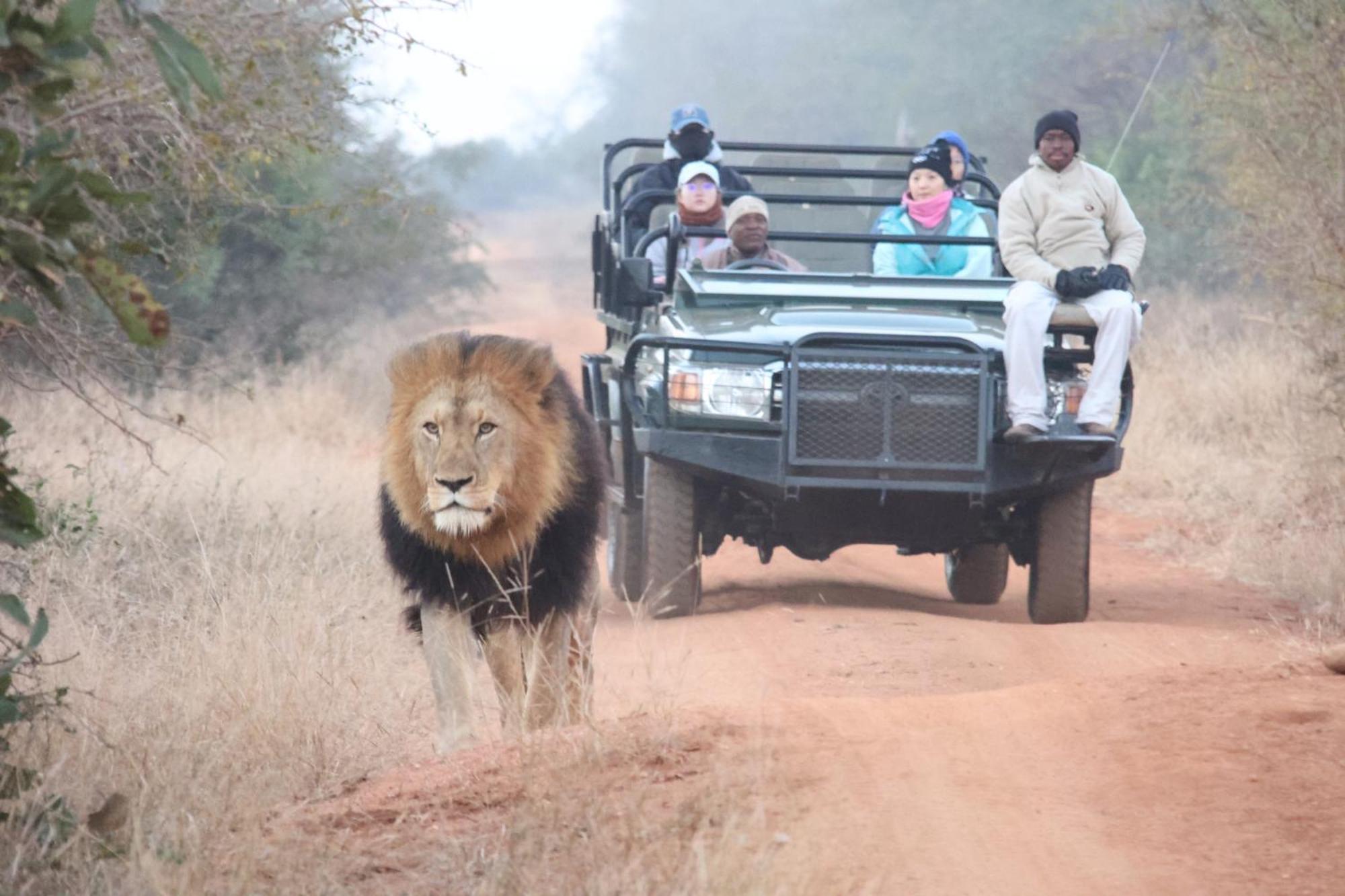 Karongwe River Lodge Karongwe Game Reserve Esterno foto